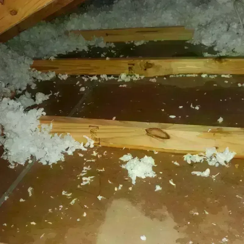 Attic Water Damage in Marina, CA