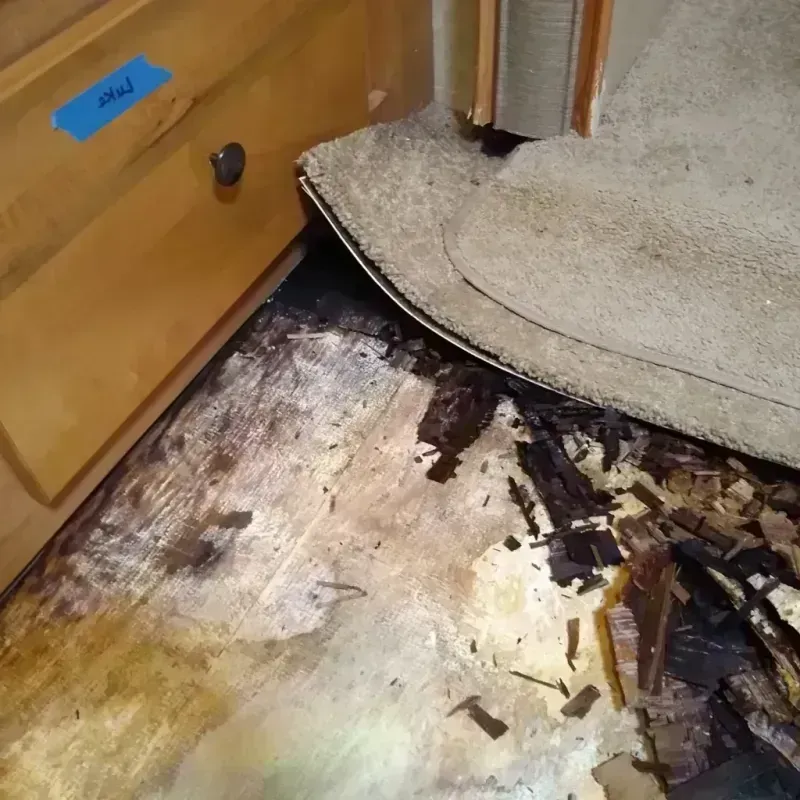 Wood Floor Water Damage in Marina, CA